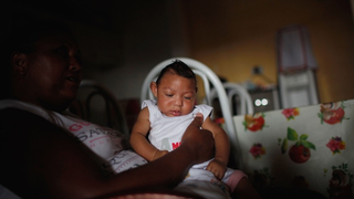 World Health Organization Declares Zika Virus an International Public Health Emergency